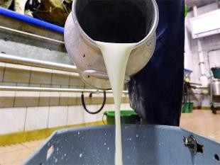 THẾ GIỚI 24H: Mỹ đưa tiêm kích F-22 tới Đông Âu đối phó Nga - ảnh 6