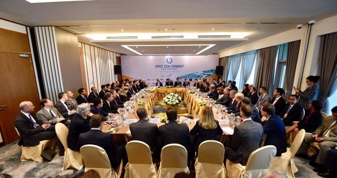 Chủ tịch nước: 'APEC có thể vươn cao và đi xa hơn nữa' - ảnh 2