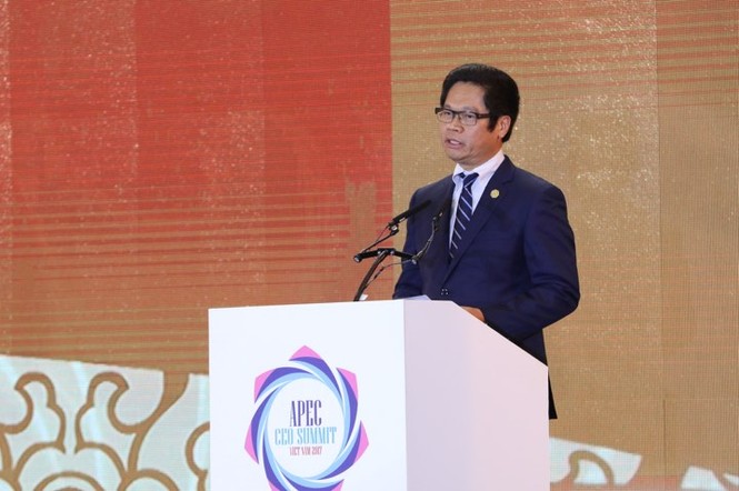 Chủ tịch nước: 'APEC có thể vươn cao và đi xa hơn nữa' - ảnh 9