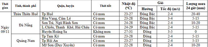 Tuần lễ cấp cao APEC - ảnh 10