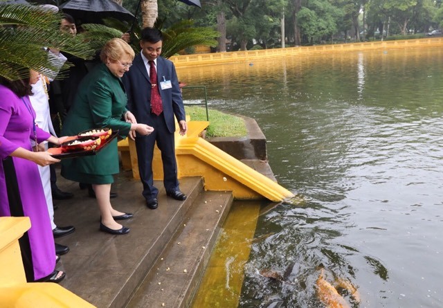 Chủ tịch nước Trần Đại Quang đón Tổng thống Chile Michelle Bachelet - ảnh 5