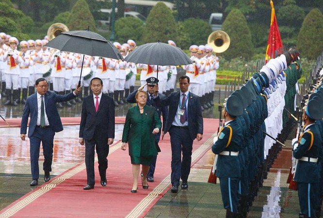Chủ tịch nước Trần Đại Quang đón Tổng thống Chile Michelle Bachelet - ảnh 4