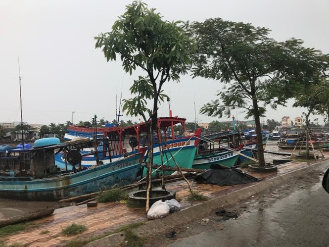 Bão Tembin đổ bộ - ảnh 10