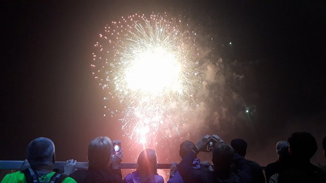 Việt Nam bước sang năm mới 2018 - ảnh 43