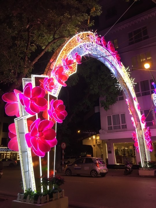 Việt Nam bước sang năm mới 2018 - ảnh 19