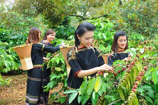 Bảo tàng Thế giới Cà phê đón khách tham quan - ảnh 4
