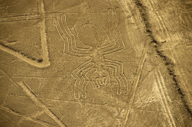 Bí ẩn 'Những đường vẽ Nazca' giữa sa mạc Peru - ảnh 5