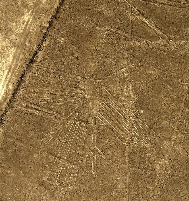 Bí ẩn 'Những đường vẽ Nazca' giữa sa mạc Peru - ảnh 4
