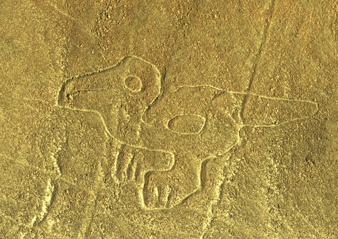 Bí ẩn 'Những đường vẽ Nazca' giữa sa mạc Peru - ảnh 2