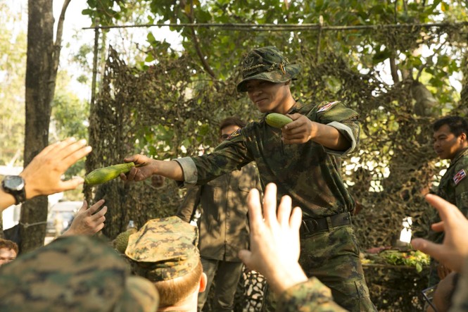 Lính Mỹ học cách ăn sống bọ cạp để tồn tại trong rừng - ảnh 3