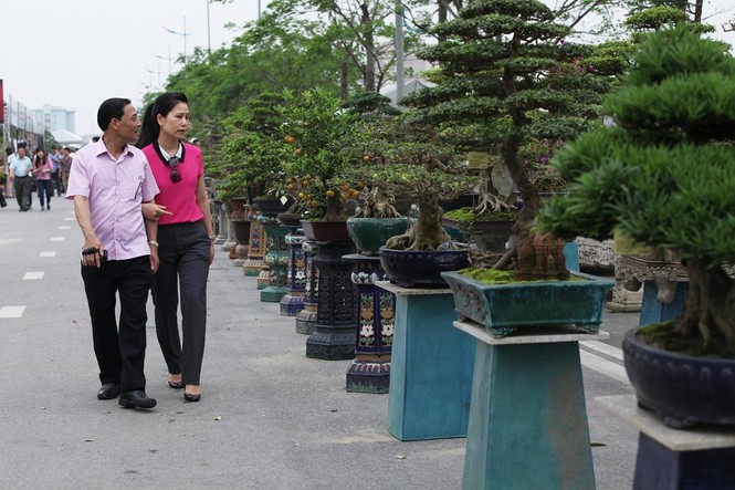 Nghỉ lễ, đi ngắm cây bạc tỷ ở Vinhomes Riverside - ảnh 7