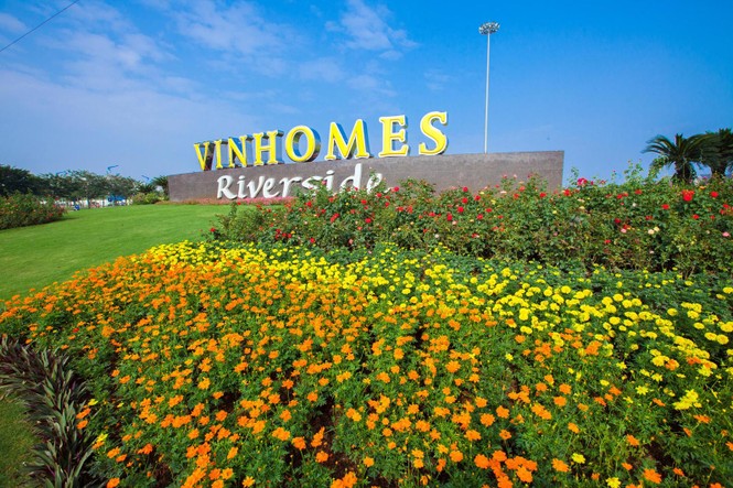 Nghỉ lễ, đi ngắm cây bạc tỷ ở Vinhomes Riverside - ảnh 8