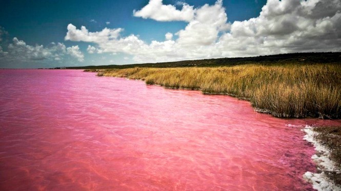 Bí ẩn hồ nước chuyển màu hồng vào tháng 8 hàng năm ở Siberia - ảnh 8