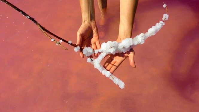 Bí ẩn hồ nước chuyển màu hồng vào tháng 8 hàng năm ở Siberia - ảnh 3