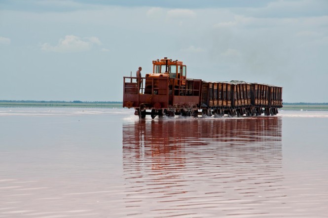 Bí ẩn hồ nước chuyển màu hồng vào tháng 8 hàng năm ở Siberia - ảnh 4