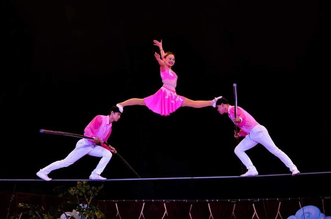 Gala xiếc Quốc tế tại TP Hồ Chí Minh hội tụ 50 nghệ sĩ xiếc thế giới - ảnh 7