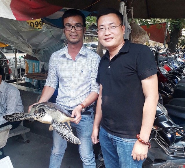 Mua lại rùa biển quý hiếm nặng 10kg ở quán nhậu để thả về biển - ảnh 1