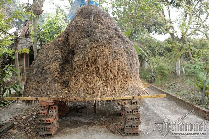 Nhà vườn 10.000m2 đầy hoa thơm, trái ngọt của Giang 'còi' - ảnh 5
