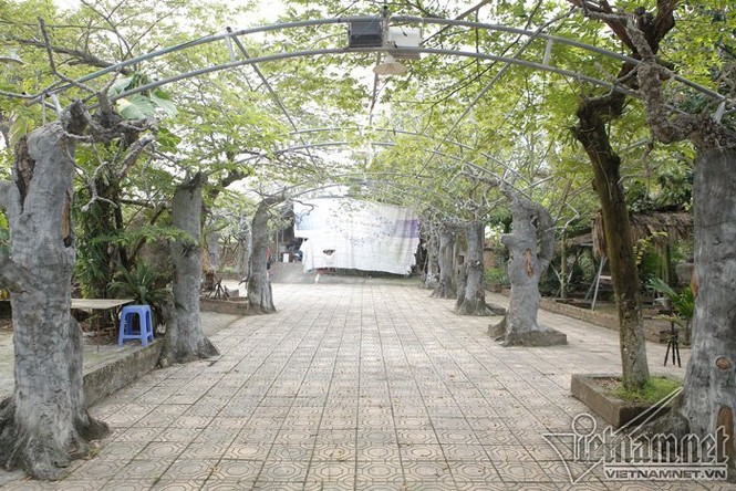 Nhà vườn 10.000m2 đầy hoa thơm, trái ngọt của Giang 'còi' - ảnh 6