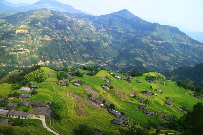 Mê mẩn ngắm ruộng bậc thang mùa lúa chín đẹp như tranh vẽ - ảnh 7