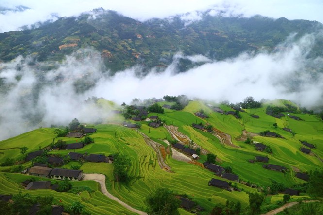 Mê mẩn ngắm ruộng bậc thang mùa lúa chín đẹp như tranh vẽ - ảnh 1