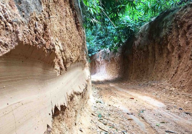 Gia Lai: Lâm tặc khoét núi phá nát cánh rừng giáp ranh - ảnh 1