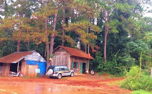 Gỗ lậu Gia Lai “nóng” sau lệnh đóng cửa rừng - ảnh 3