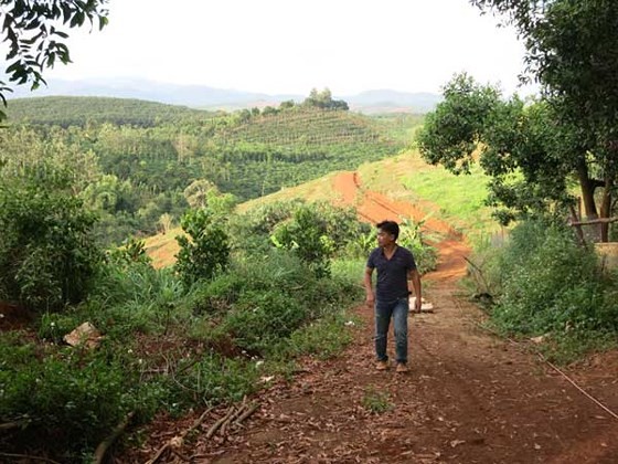 Buông lỏng quản lý rừng, Ban thường vụ Huyện ủy Đắk G’long bị kỷ luật - ảnh 1