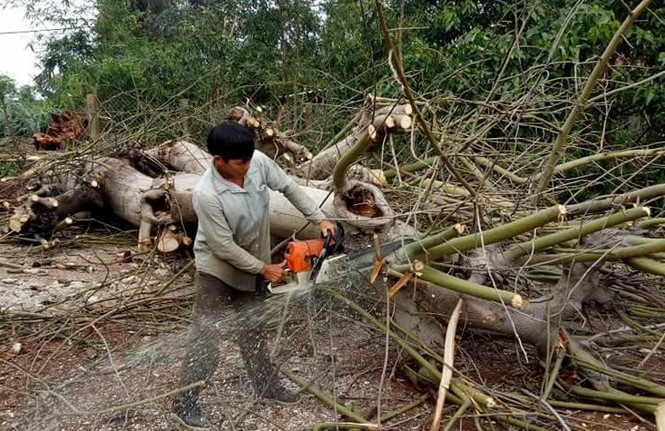 Mưa đá kèm lốc xoáy cuốn phăng mái nhà rông - ảnh 3