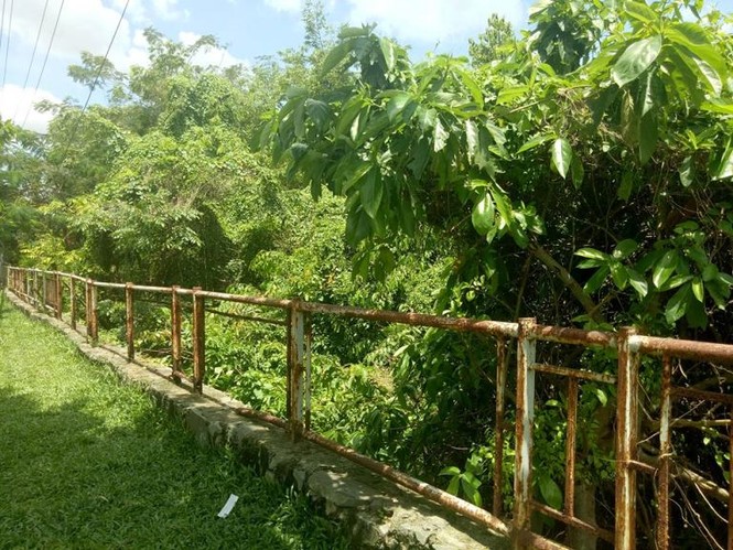 Bình Dương: “Xẻ thịt” đất công viên cho doanh nghiệp thuê trái quy định - ảnh 4