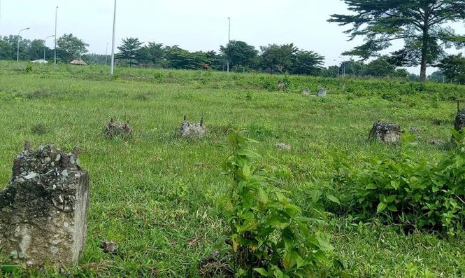 Chủ đầu tư “siêu dự án” hết xin, lại hứa, rồi bỏ hoang - ảnh 2