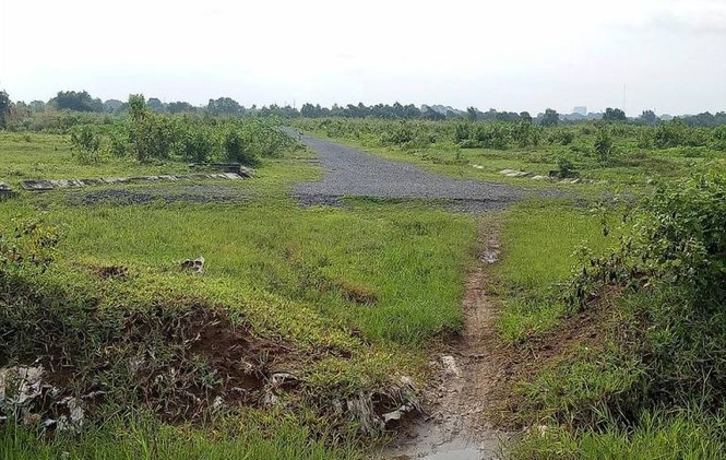 Chủ đầu tư “siêu dự án” hết xin, lại hứa, rồi bỏ hoang - ảnh 5