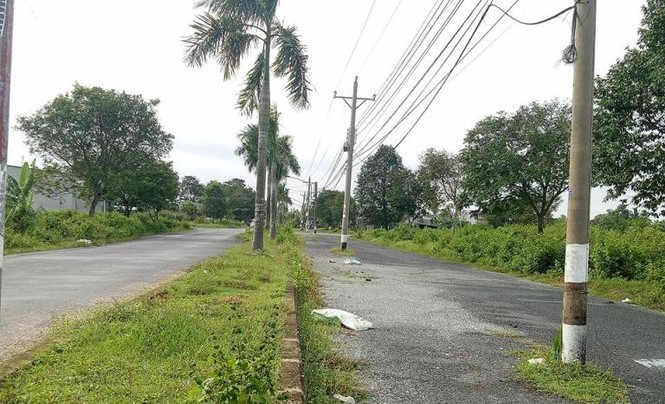 Chủ đầu tư “siêu dự án” hết xin, lại hứa, rồi bỏ hoang - ảnh 10