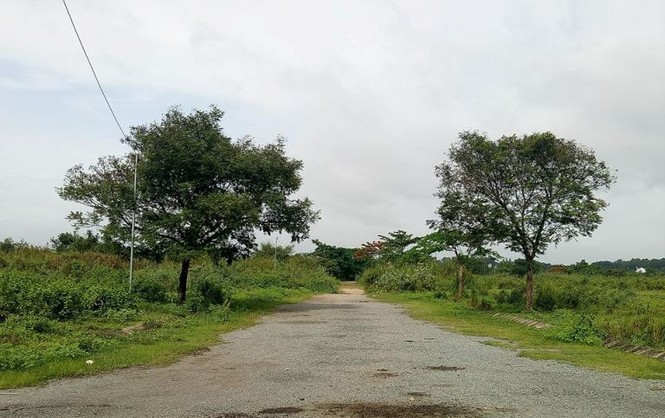 Chủ đầu tư “siêu dự án” hết xin, lại hứa, rồi bỏ hoang - ảnh 9