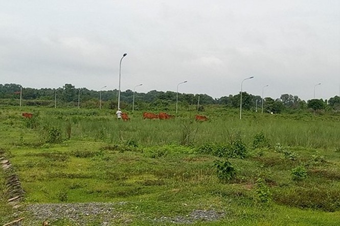 Chủ đầu tư “siêu dự án” hết xin, lại hứa, rồi bỏ hoang - ảnh 1