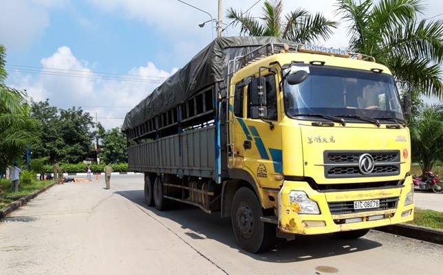 Nữ công nhân gặp nạn tử vong, đồng nghiệp quyên góp tiền lo hậu sự - ảnh 1