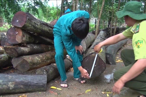 Thanh tra trách nhiệm quản lý đất rừng của lãnh đạo Bình Phước - ảnh 1