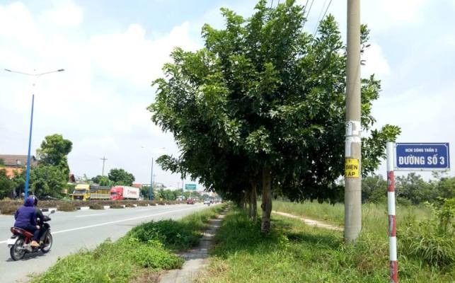 Bình Dương phê duyệt đầu tư khu nhà ở “khủng” không nằm trong quy hoạch - ảnh 1