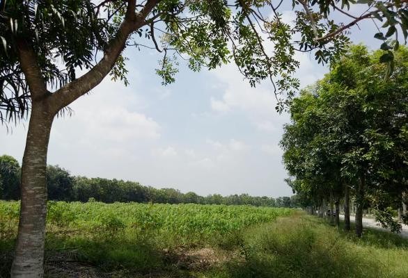 Bình Dương phê duyệt đầu tư khu nhà ở “khủng” không nằm trong quy hoạch - ảnh 4