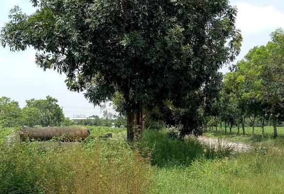 Bình Dương phê duyệt đầu tư khu nhà ở “khủng” không nằm trong quy hoạch - ảnh 6