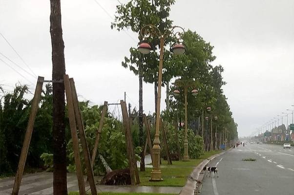 Bình Dương: Hàng chục cây xanh trên đường ngã đổ do mưa bão - ảnh 6