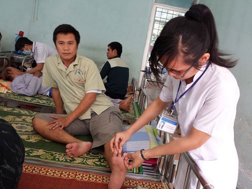 Rắn lục đuôi đỏ xuất hiện tại Bình Định - ảnh 1