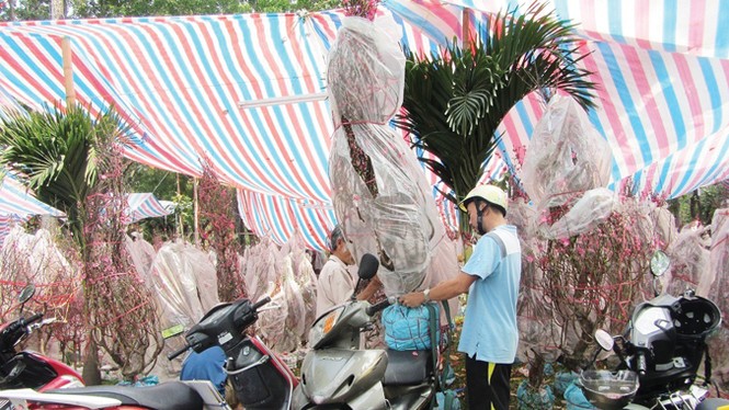 Người Bắc ở Sài Gòn - ảnh 2