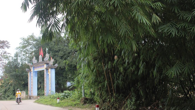Làng trường thọ ở Huế - ảnh 3
