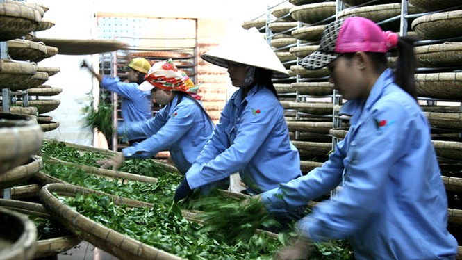 Sóng gió thương trường - Kỳ I: Hồng nhan bạc phận - ảnh 1