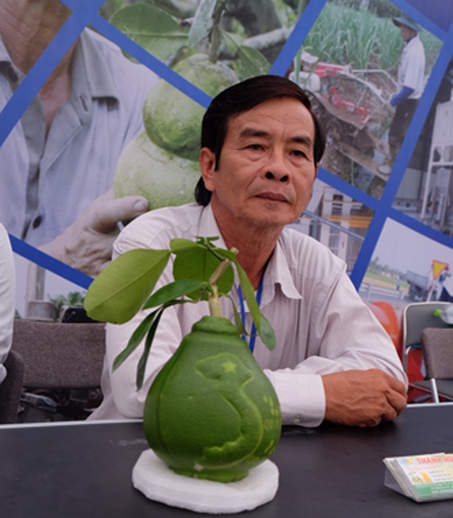 Kiếm tiền tỷ từ bưởi 'bản đồ Việt Nam' - ảnh 1