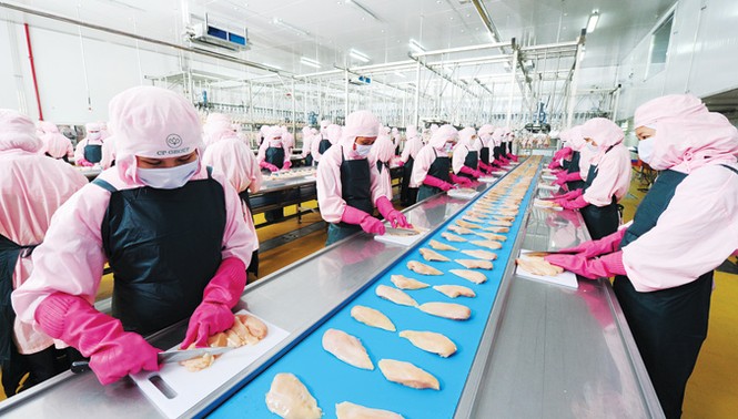 Một CEO Thái tâm huyết với ngành chăn nuôi Việt Nam - ảnh 2