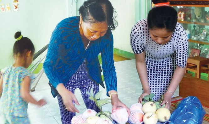 Người Khmer đón tết trong hạn hán - ảnh 1