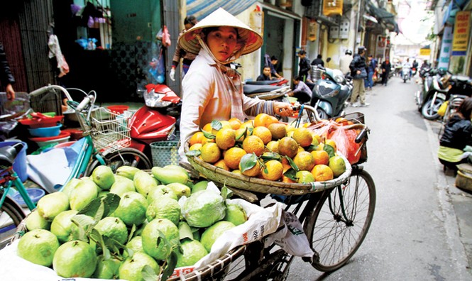 Ai cũng muốn về... - ảnh 1