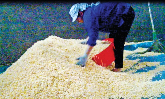Hãi hùng bim bim bán cổng trường - ảnh 2